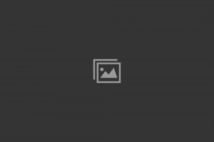 placeholder-4