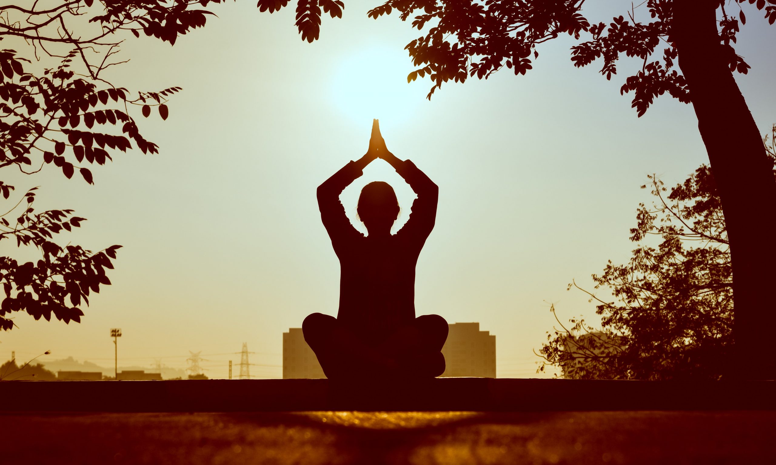 Japanese Yoga